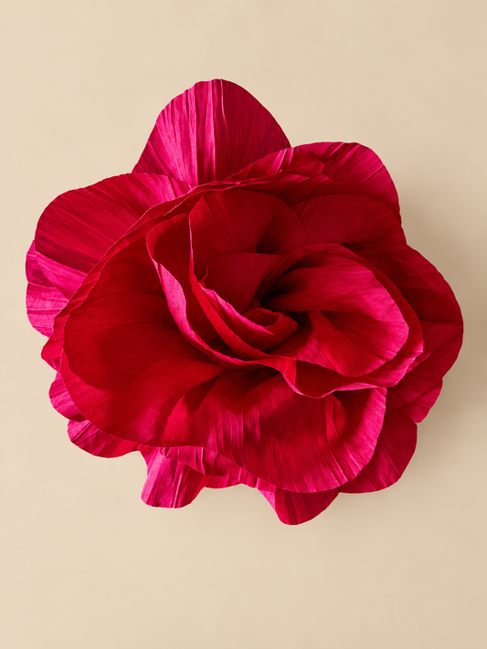 Rosa Lucía Fucsia