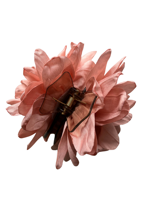 Rosa Jacinta Palo Rosa