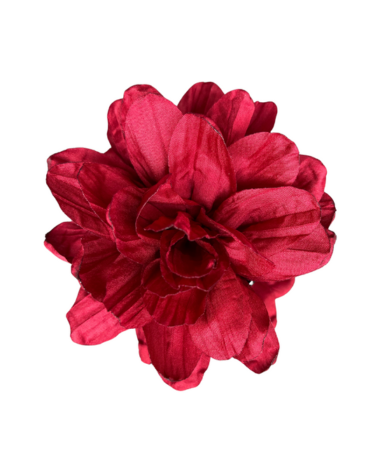 Flor Jacinta Burdeos