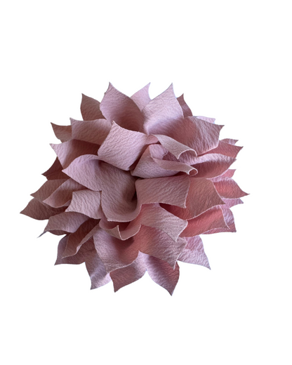 Rosa Valentina Palo Rosa