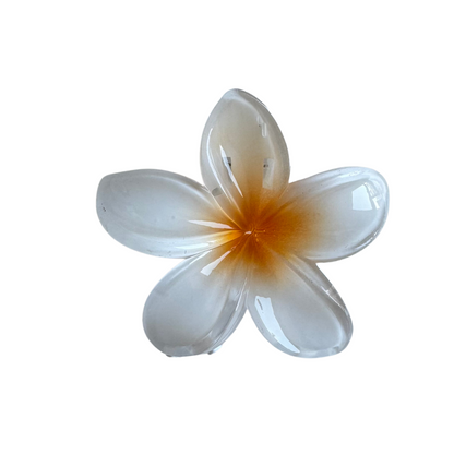 Flor Hawaiana Blanca