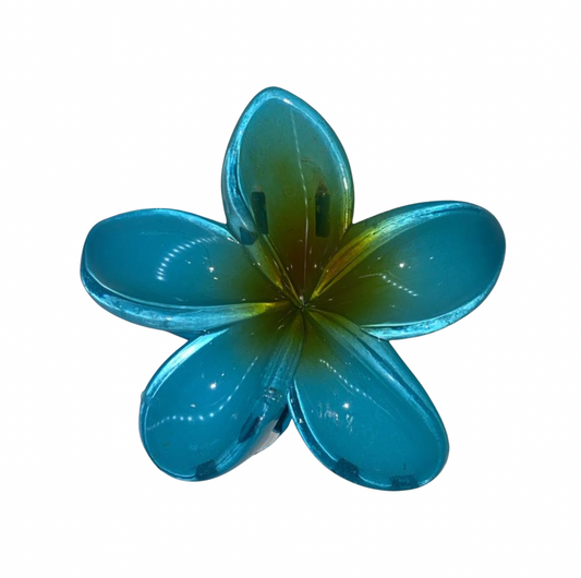 Flor Hawaiana Celeste