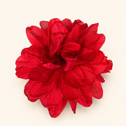 Flor Jacinta Roja