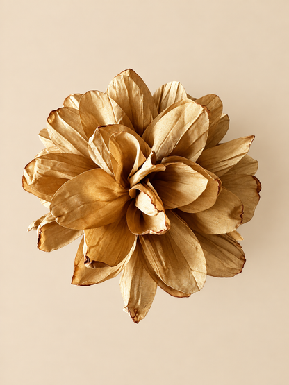 Flor Jacinta Almendra