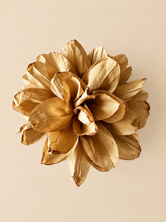 Flor Jacinta Almendra
