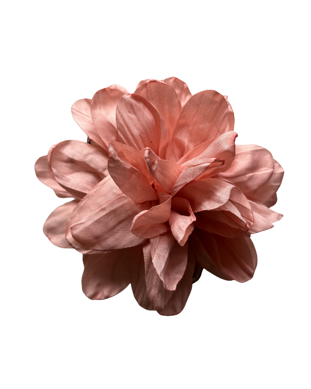 Rosa Jacinta Palo Rosa