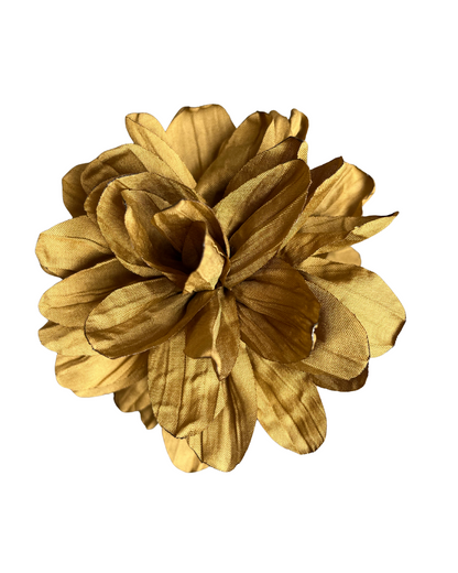 Flor Jacinta Dorado