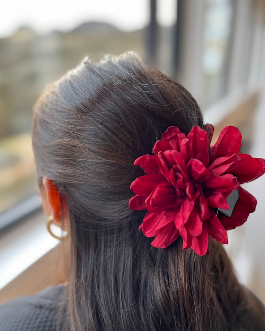 Flor Jacinta Burdeos